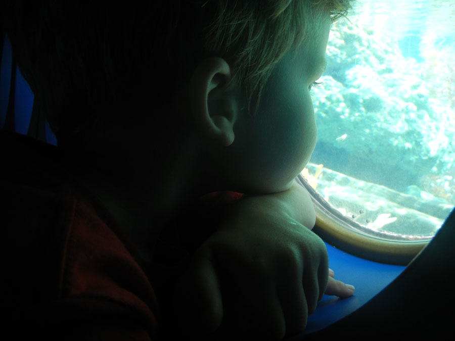Disneyland Tomorrowland Submarine Picture